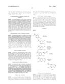 COMPOUNDS USEFUL IN CFTR ASSAYS AND METHODS THEREWITH diagram and image