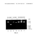 RECOMBINANT INFLUENZA VIRUSES FOR VACCINES AND GENE THERAPY diagram and image