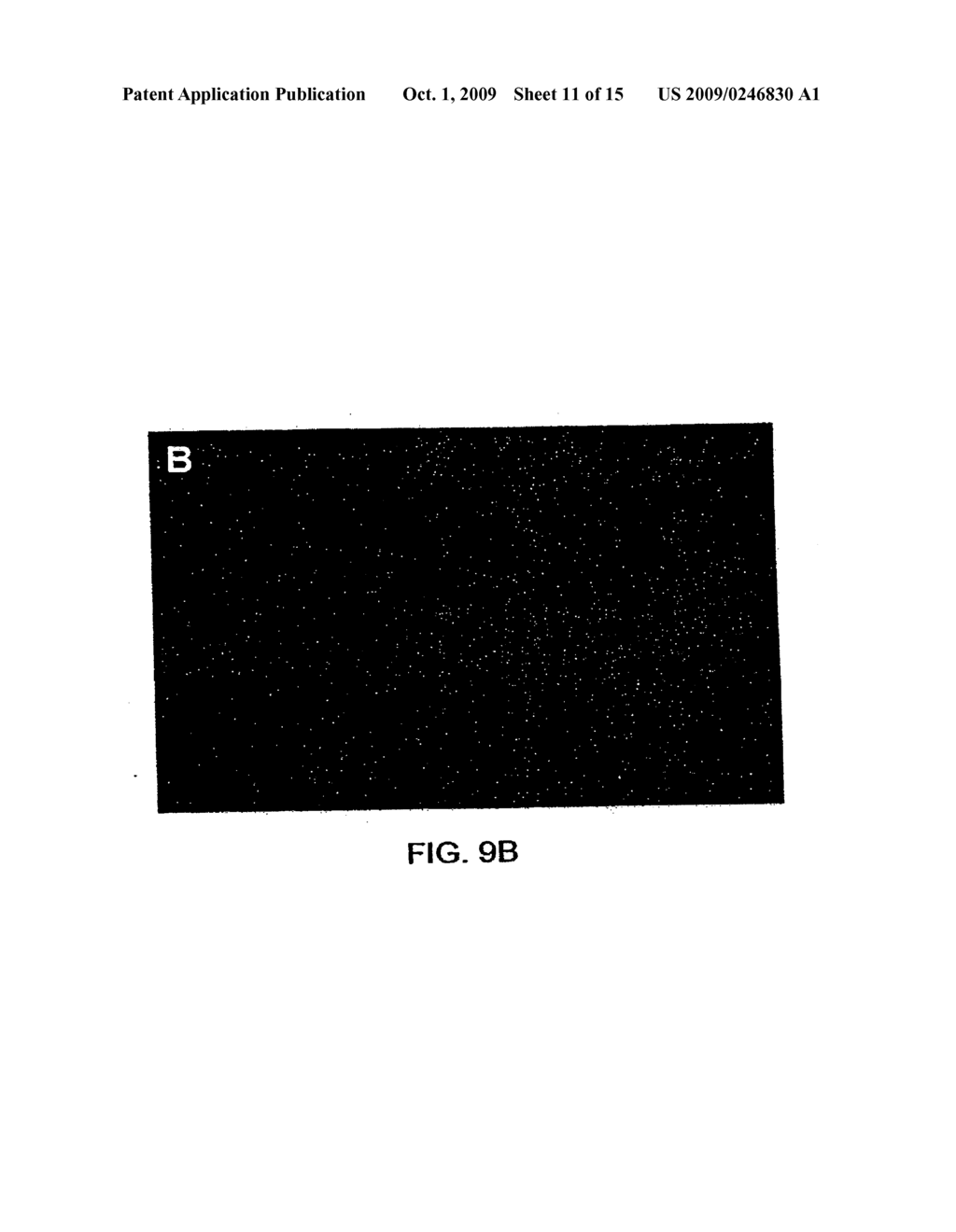 RECOMBINANT INFLUENZA VIRUSES FOR VACCINES AND GENE THERAPY - diagram, schematic, and image 12