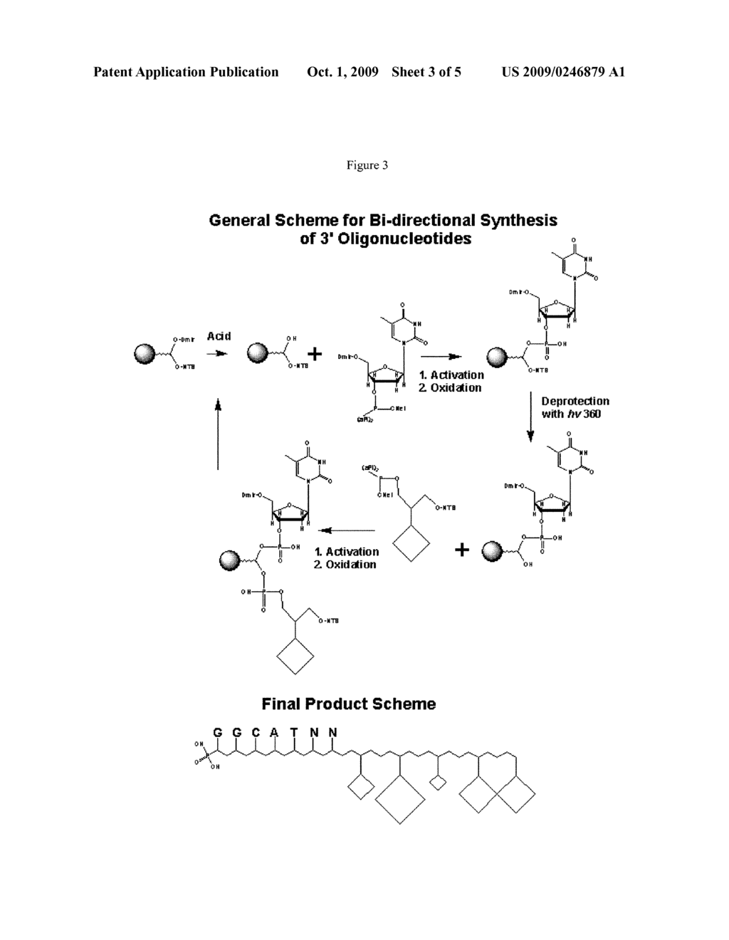 Materials and Methods Relating to Nano-Tags and Nano-Brands - diagram, schematic, and image 04