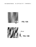 METHOD FOR HETEROEPITAXIAL GROWTH OF HIGH-QUALITY N-FACE GaN, InN, AND AlN AND THEIR ALLOYS BY METAL ORGANIC CHEMICAL VAPOR DEPOSITION diagram and image