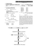 Isolation of Inhibitors of IRES-Mediated Translation diagram and image