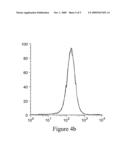 Isolation of Inhibitors of IRES-Mediated Translation diagram and image