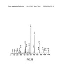 Complexes of alpha (2) macroglobulin and antigenic molecules for immunotherapy diagram and image