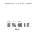 Complexes of alpha (2) macroglobulin and antigenic molecules for immunotherapy diagram and image