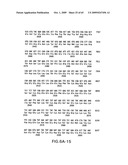 Complexes of alpha (2) macroglobulin and antigenic molecules for immunotherapy diagram and image