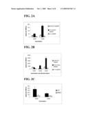 PEPTIDE EPITOPES OF VEGFR-2/KDR THAT INHIBIT ANGIOGENESIS diagram and image