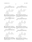 HSP90 Inhibitor diagram and image