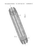 Double-Walled Stent System diagram and image