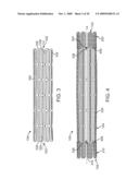 Double-Walled Stent System diagram and image