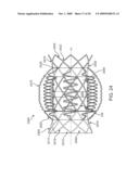 Double-Walled Stent System diagram and image