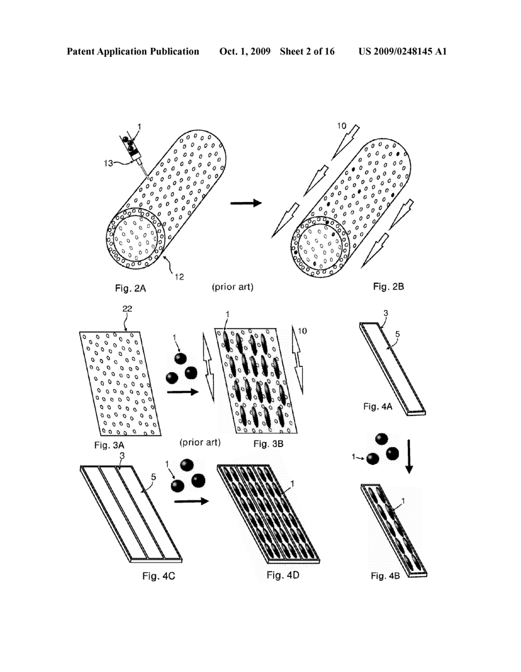 METHOD OF FORMING A THREE-DIMENSIONAL STRUCTURE OF UNIDIRECTIONALLY ALIGNED CELLS - diagram, schematic, and image 03