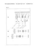 ZOOM LENS SYSTEM, INTERCHANGEABLE LENS APPARATUS AND CAMERA SYSTEM diagram and image