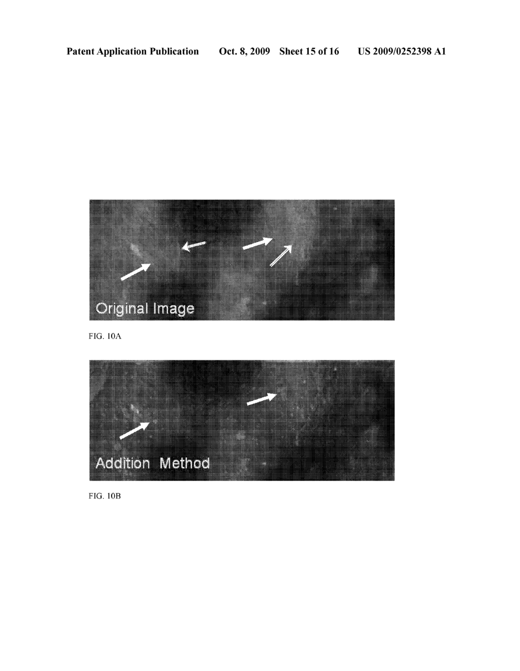 Method and System for Creating a Three-Dimensionally-Perceived Image of a Biological Sample - diagram, schematic, and image 16