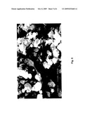 Methods For Preparing Iron Source Material And Ferrous Oxalate for Lithium Ferrous Phosphate diagram and image