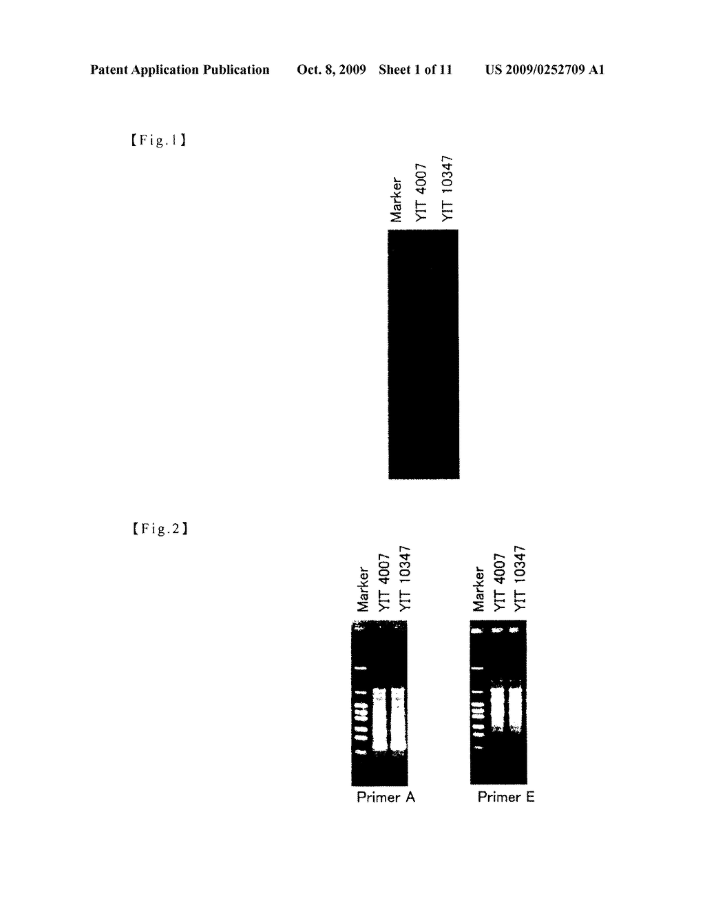 NOVEL BACTERIUM BELONGING TO THE GENUS BIFIDOBACTERIUM AND UTILIZATION OF THE SAME - diagram, schematic, and image 02