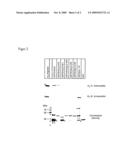 Botulinum Neurotoxin a Protein Receptor and Uses Thereof diagram and image