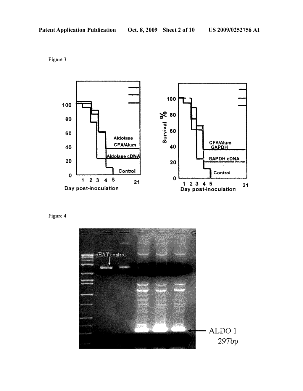 PROTEIN-BASED STREPTOCOCCUS PNEUMONIAE VACCINES - diagram, schematic, and image 03