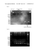 PROTEIN-BASED STREPTOCOCCUS PNEUMONIAE VACCINES diagram and image