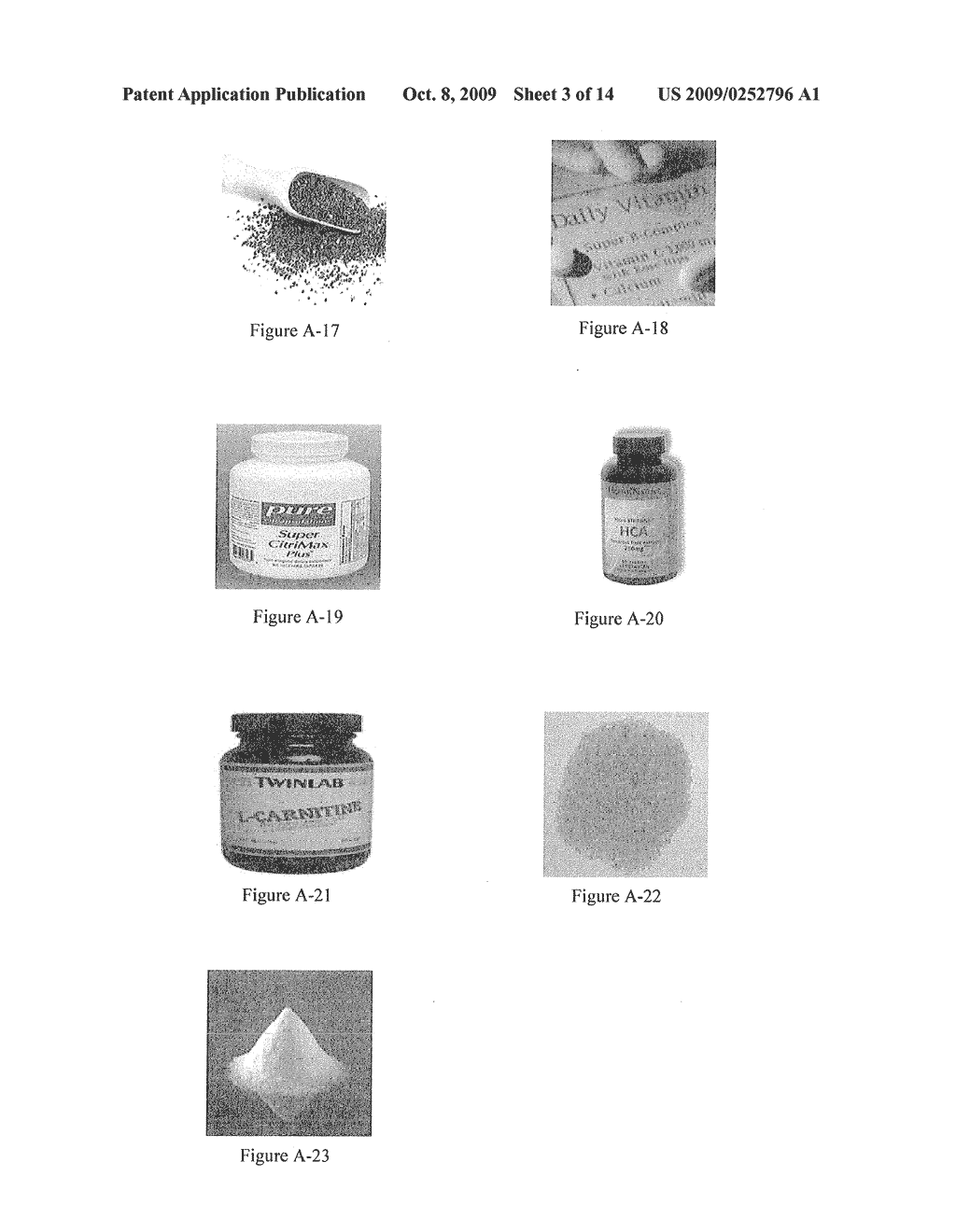 NUTRITIONAL SUPPLEMENT FOR THE PREVENTION OF CARDIOVASCULAR DISEASE, ALZHEIMER'S DISEASE, DIABETES, AND REGULATION AND REDUCTION OF BLOOD SUGAR AND INSULIN RESISTANCE - diagram, schematic, and image 04