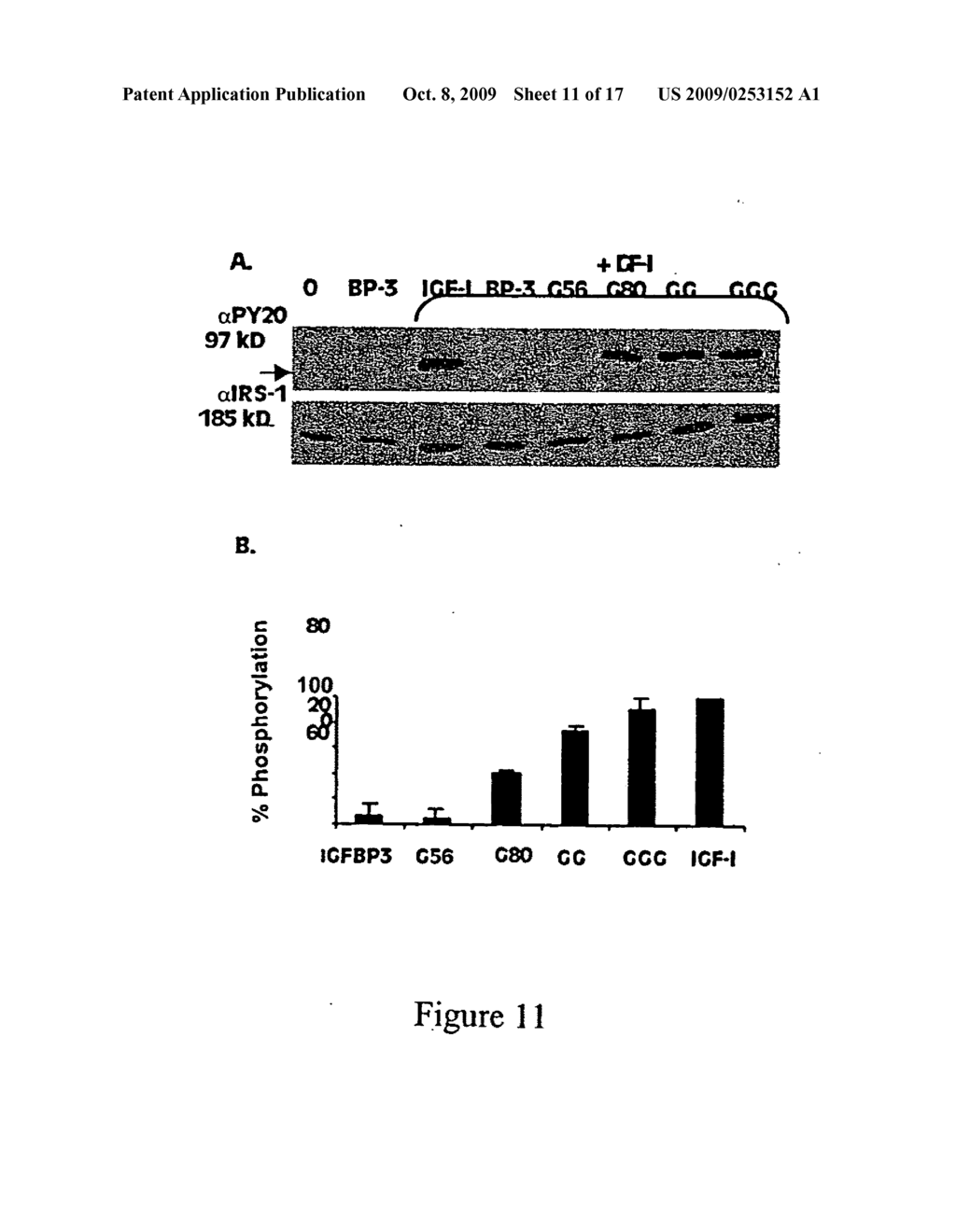 NOVEL MUTANT IGFBP-3 MOLECULES THAT DO NOT BIND TO IGFs, BUT RETAIN THEIR ABILITY TO FUNCTIONALLY BIND IGFBP-3 RECEPTOR - diagram, schematic, and image 12