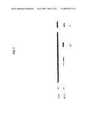 Mammalian Cell Lines for Increasing Longevity and Protein Yield from a Cell Culture diagram and image