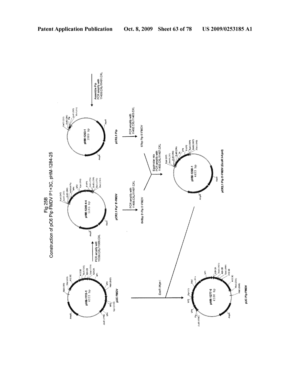 AVIPOX RECOMBINANTS EXPRESSING FOOT AND MOUTH DISEASE VIRUS GENES - diagram, schematic, and image 64