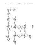 Method of obtaining BZM purity, quantity of [123I]IBZM labeled ligand and quantity of BZM free ligand diagram and image