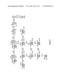 Method of obtaining BZM purity, quantity of [123I]IBZM labeled ligand and quantity of BZM free ligand diagram and image