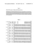 WHEAT PLANTS HAVING INCREASED RESISTANCE TO IMIDAZOLINONE HERBICIDES diagram and image