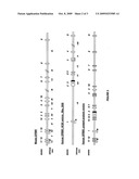 Identification of Genetic Polymorphic Variants Associated With Somatosensory Disorders and Methods of Using the Same diagram and image