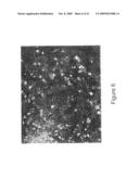 Screening assays for identifying differentiation-inducing agents and production of differentiated cells for cell therapy diagram and image