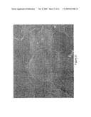 Screening assays for identifying differentiation-inducing agents and production of differentiated cells for cell therapy diagram and image