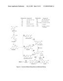 Hair Loss Prevention by Natural Amino Acid and Peptide Complexes diagram and image