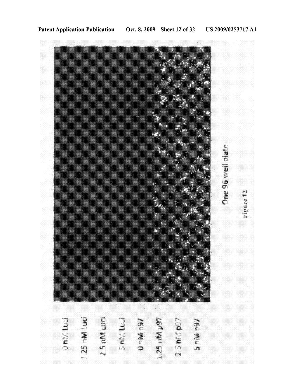 Inhibitors of p97 - diagram, schematic, and image 13