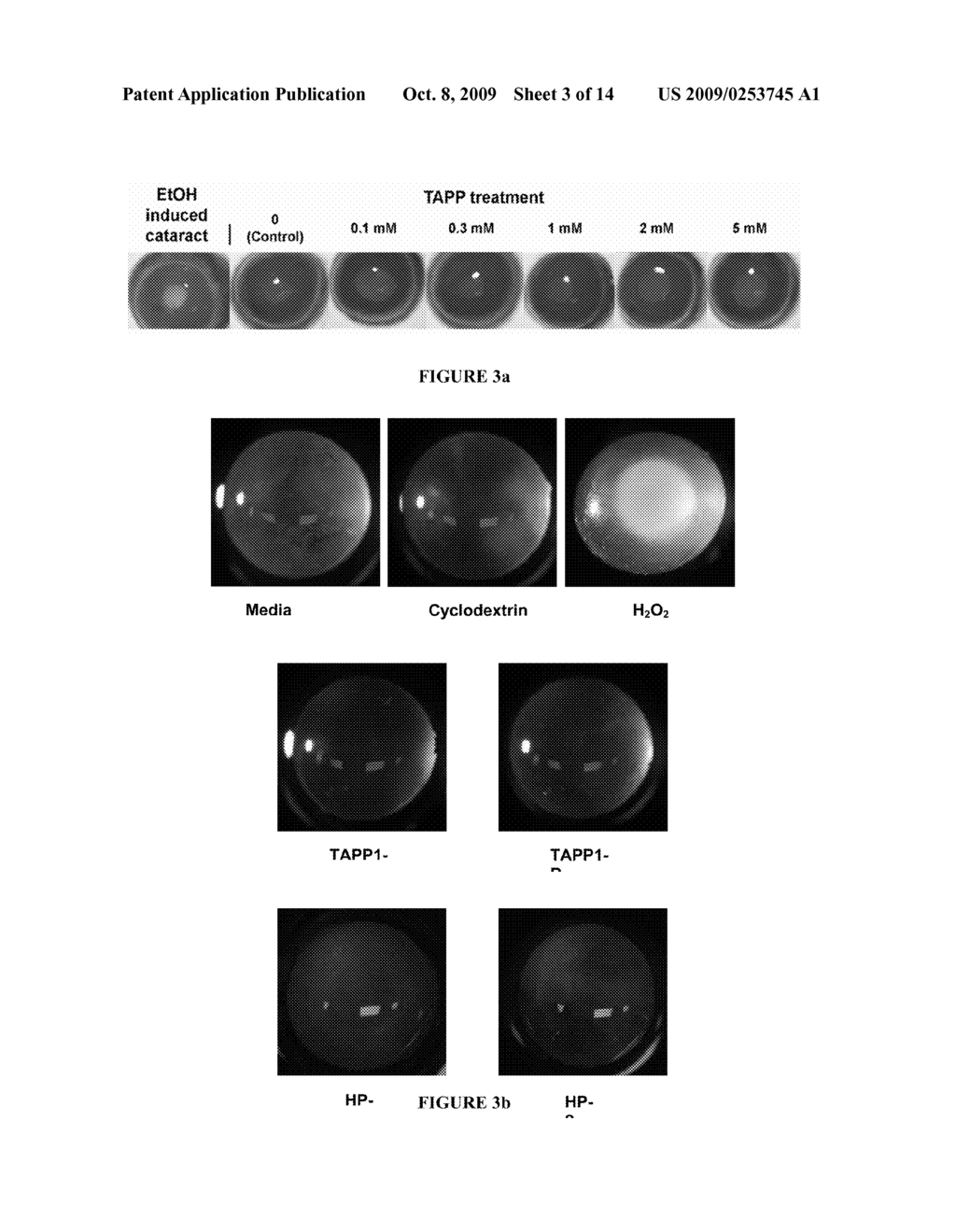 MODULATORS OF OCULAR OXIDATIVE STRESS - diagram, schematic, and image 04