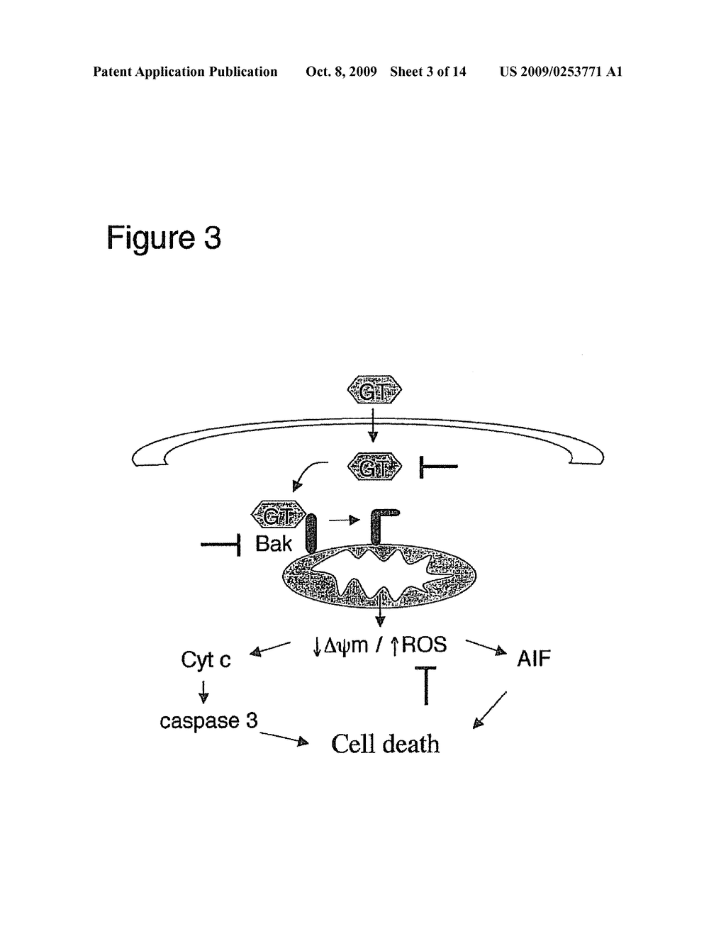 INHIBITION OF GLIOTOXIN - diagram, schematic, and image 04