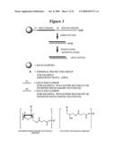 RNA INTERFERENCE MEDIATED INHIBITION OF CXCR4 GENE EXPRESSION USING SHORT INTERFERING NUCELEIC ACID (siNA) diagram and image