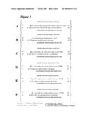 RNA INTERFERENCE MEDIATED INHIBITION OF CXCR4 GENE EXPRESSION USING SHORT INTERFERING NUCELEIC ACID (siNA) diagram and image