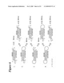 RNA INTERFERENCE MEDIATED INHIBITION OF CXCR4 GENE EXPRESSION USING SHORT INTERFERING NUCELEIC ACID (siNA) diagram and image