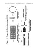 RNA INTERFERENCE MEDIATED INHIBITION OF CXCR4 GENE EXPRESSION USING SHORT INTERFERING NUCELEIC ACID (siNA) diagram and image