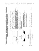 RNA INTERFERENCE MEDIATED INHIBITION OF CXCR4 GENE EXPRESSION USING SHORT INTERFERING NUCELEIC ACID (siNA) diagram and image