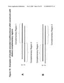 RNA INTERFERENCE MEDIATED INHIBITION OF CXCR4 GENE EXPRESSION USING SHORT INTERFERING NUCELEIC ACID (siNA) diagram and image