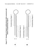 RNA INTERFERENCE MEDIATED INHIBITION OF CXCR4 GENE EXPRESSION USING SHORT INTERFERING NUCELEIC ACID (siNA) diagram and image