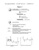 RNA INTERFERENCE MEDIATED INHIBITION OF TNF AND TNF RECEPTOR GENE EXPRESSION USING SHORT INTERFERING NUCLEIC ACID (siNA) diagram and image