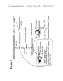 RNA INTERFERENCE MEDIATED INHIBITION OF TNF AND TNF RECEPTOR GENE EXPRESSION USING SHORT INTERFERING NUCLEIC ACID (siNA) diagram and image