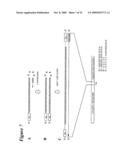 RNA INTERFERENCE MEDIATED INHIBITION OF TNF AND TNF RECEPTOR GENE EXPRESSION USING SHORT INTERFERING NUCLEIC ACID (siNA) diagram and image