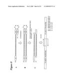 RNA INTERFERENCE MEDIATED INHIBITION OF TNF AND TNF RECEPTOR GENE EXPRESSION USING SHORT INTERFERING NUCLEIC ACID (siNA) diagram and image