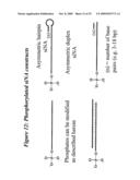 RNA INTERFERENCE MEDIATED INHIBITION OF TNF AND TNF RECEPTOR GENE EXPRESSION USING SHORT INTERFERING NUCLEIC ACID (siNA) diagram and image