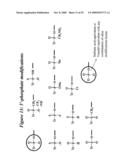 RNA INTERFERENCE MEDIATED INHIBITION OF TNF AND TNF RECEPTOR GENE EXPRESSION USING SHORT INTERFERING NUCLEIC ACID (siNA) diagram and image